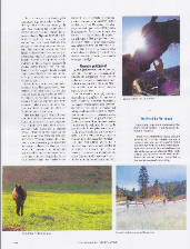 mangalarga marchador art article abccmm brasil